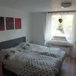 Apartmán Moderne, Ruhige In Harz Inkl Wlan & Netflix
