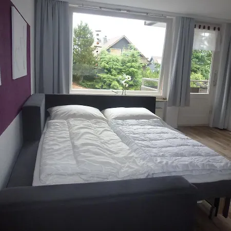 Moderne, Ruhige In Harz Inkl Wlan & Netflix アパート