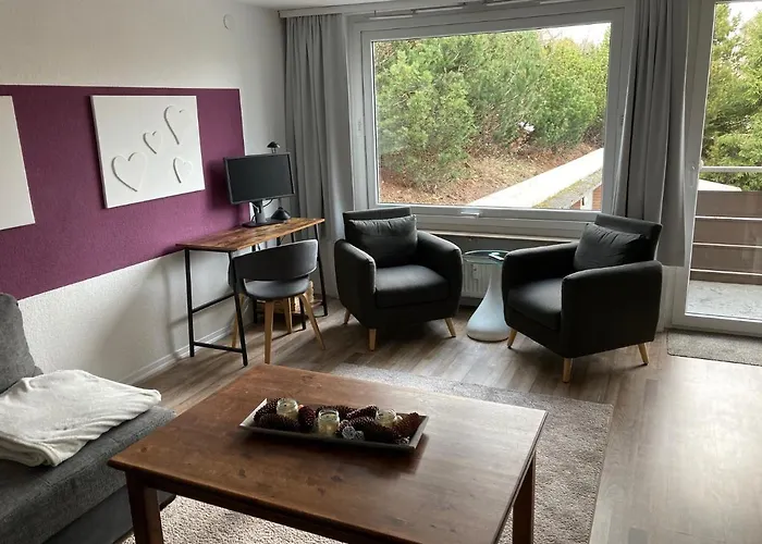 Apartman Moderne, Ruhige In Harz Inkl Wlan & Netflix