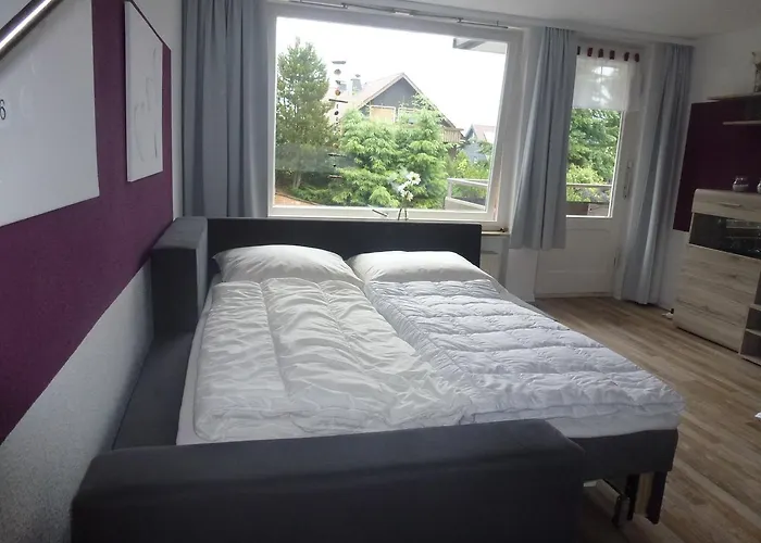 Moderne, Ruhige In Harz Inkl Wlan & Netflix 公寓